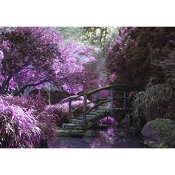 Grafika Kids (00970) - "Zen Bridge" - 100 pieces puzzle