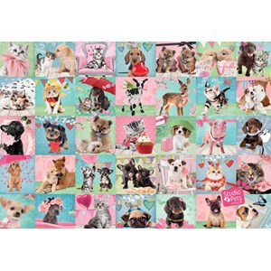 Jumbo (19353) - "Lovely Day" - 1000 pieces puzzle