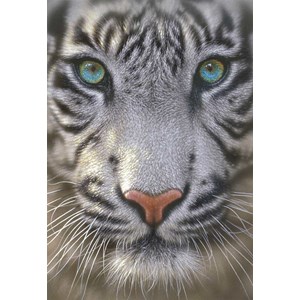 Educa (15971) - "White Tiger" - 500 pieces puzzle