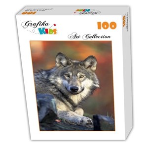 Grafika Kids (00516) - "Wolf" - 100 pieces puzzle