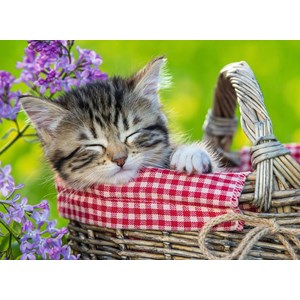 Ravensburger (10539) - "Sleeping Kitten" - 100 pieces puzzle